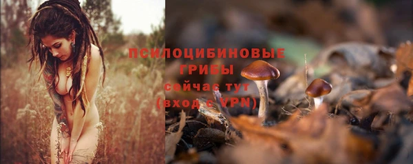 Альфа ПВП Балабаново