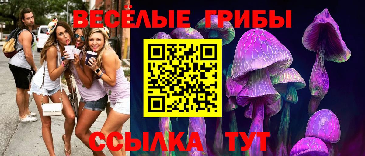 Галлюциногенные грибы мицелий Ессентуки